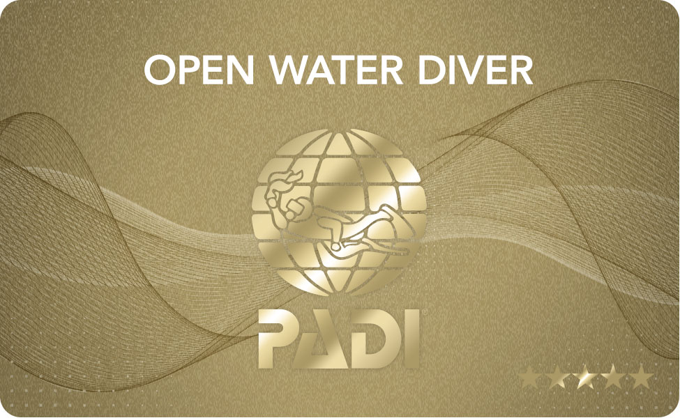 Budget - PADI Open Water Course