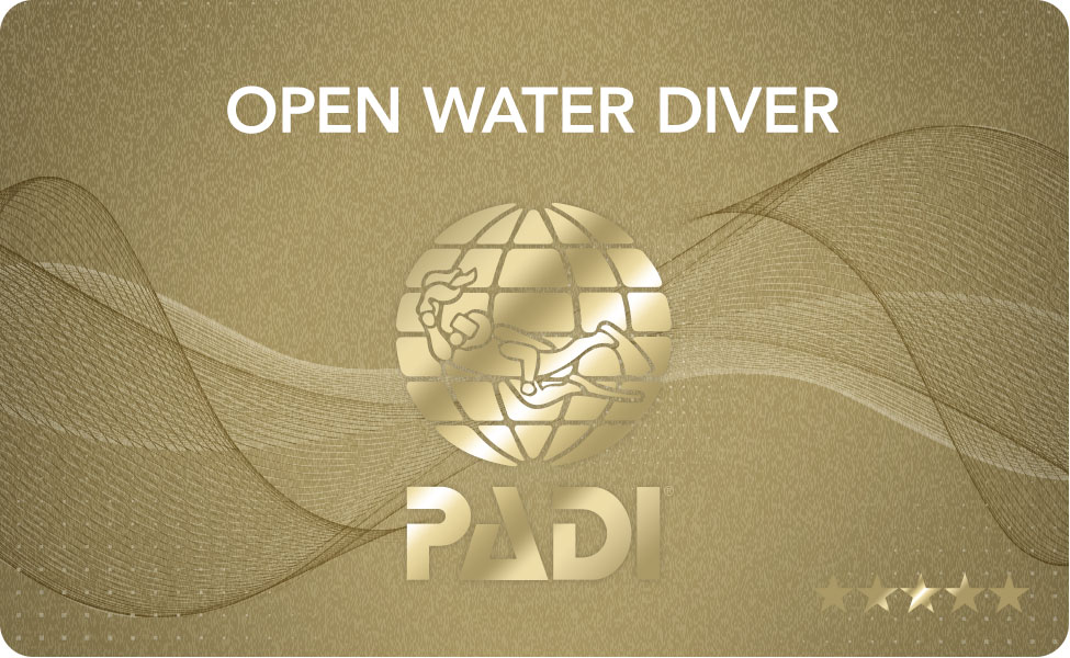 Openwater Diver (Weekend)