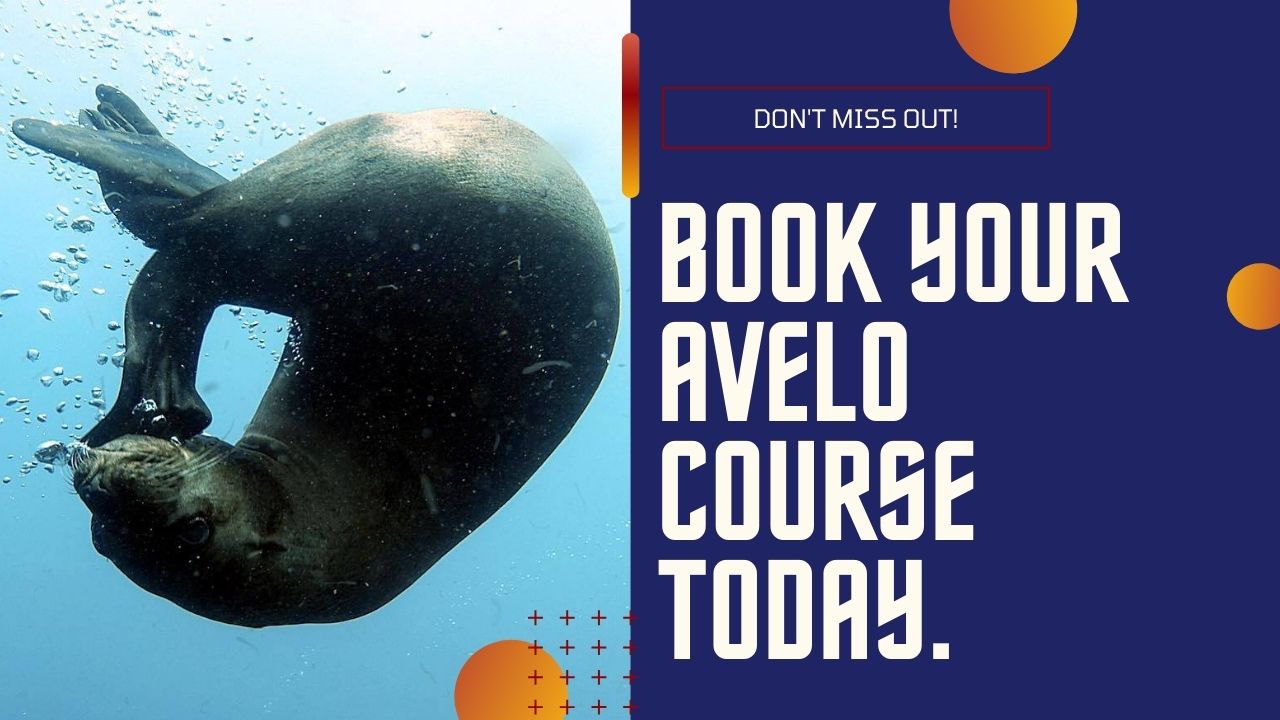 Book Your Avelo Course Today