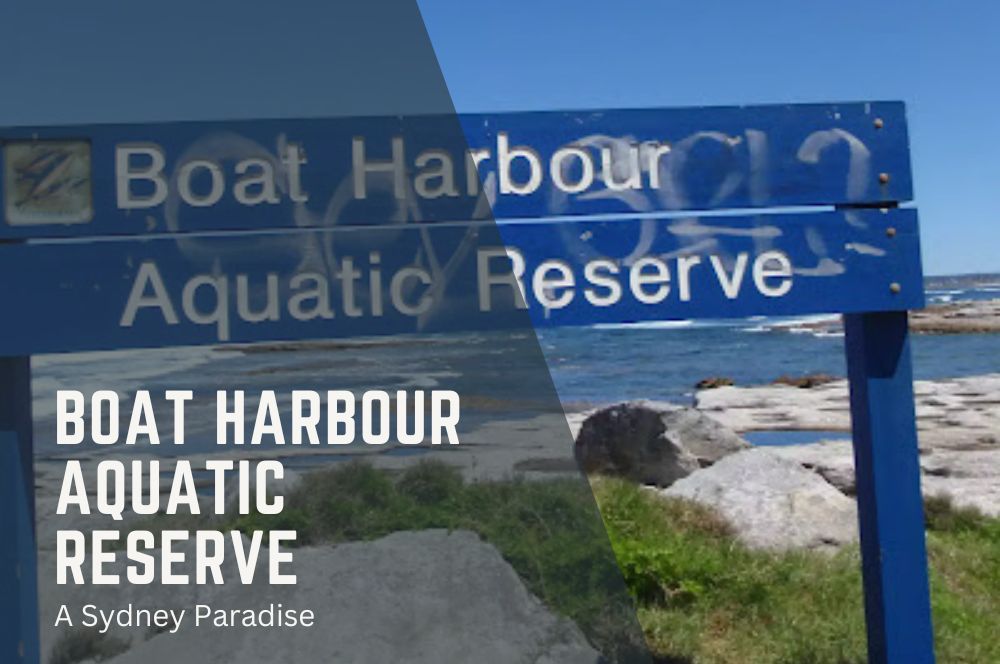 Boat Harbour Aquatic Reserve: Sydney's Marine Paradise For Snorkeling & Diving