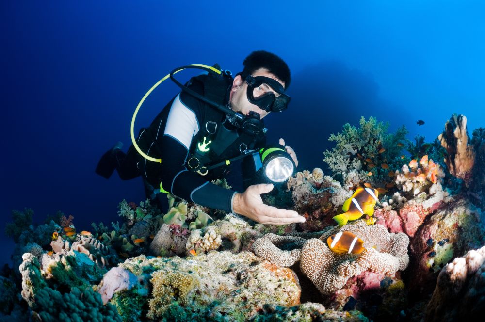 Rhe benefits of being a certified diver, showcasing various underwater activities.