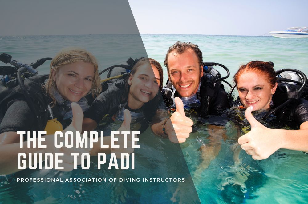 The Complete Guide To Padi: Understanding The World’s Leading Scuba Diving Organization