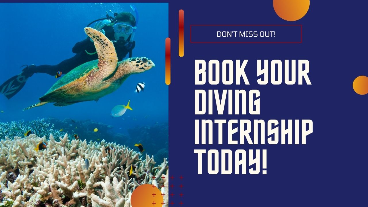 Book Your Diving Internship Today