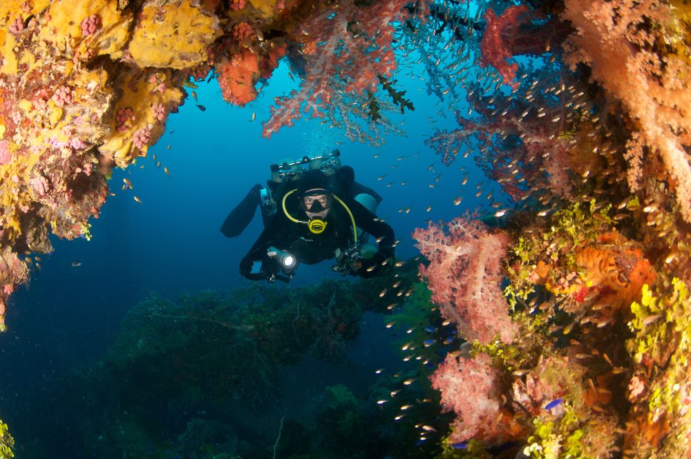 Truk Lagoon, a popular dive destinations showcasing the beauty of marine life.