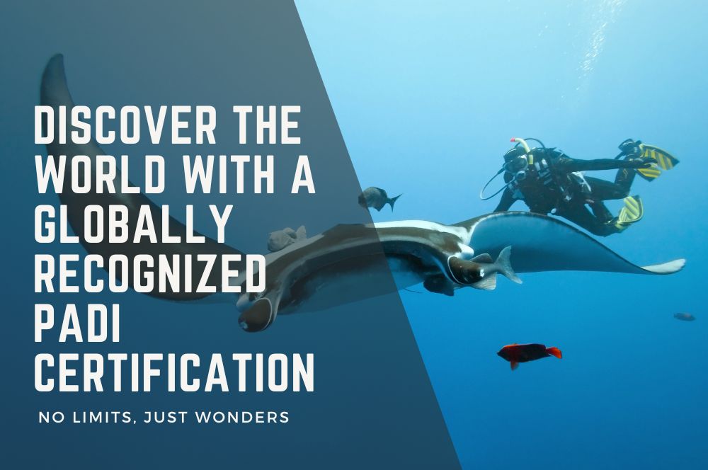 Discover The World With Padi Certification | No Limits, Just Wonders