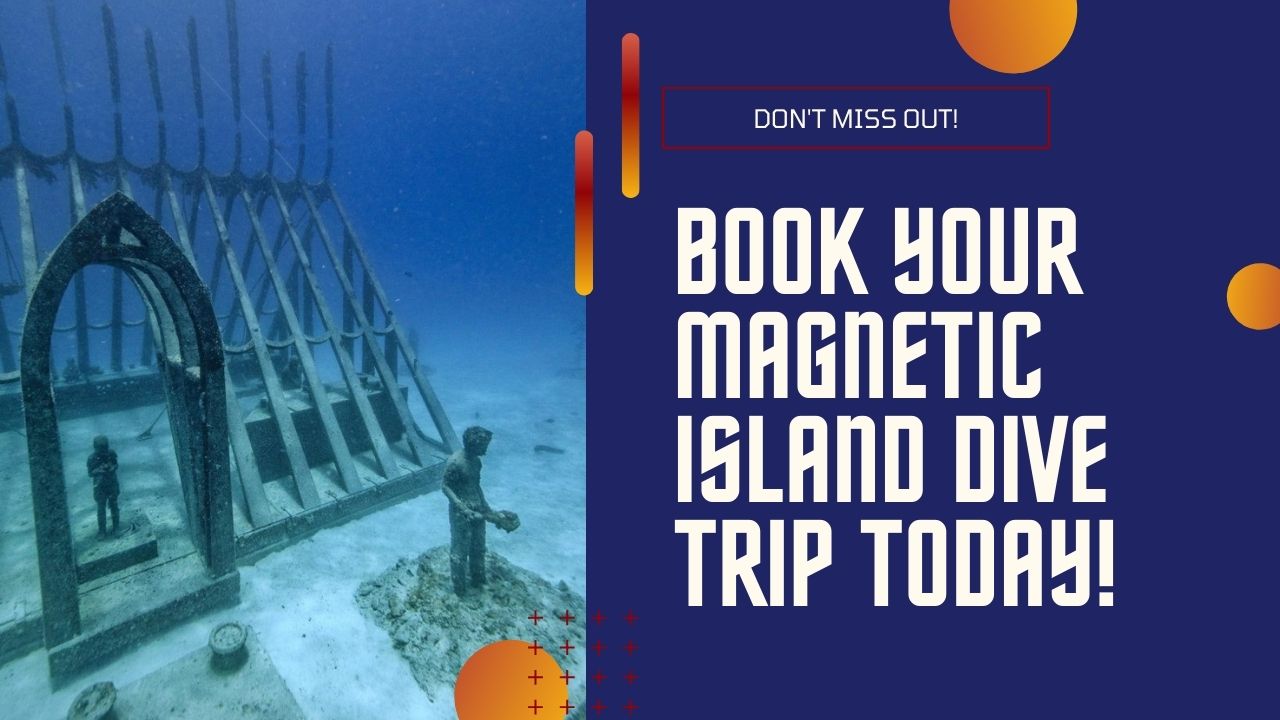 Magnetic Island Dive Trip