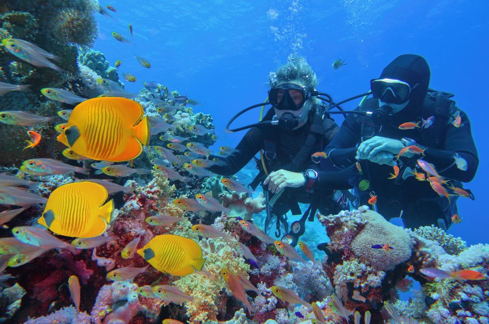 Ocean exploration, showcasing scientists studying marine life.