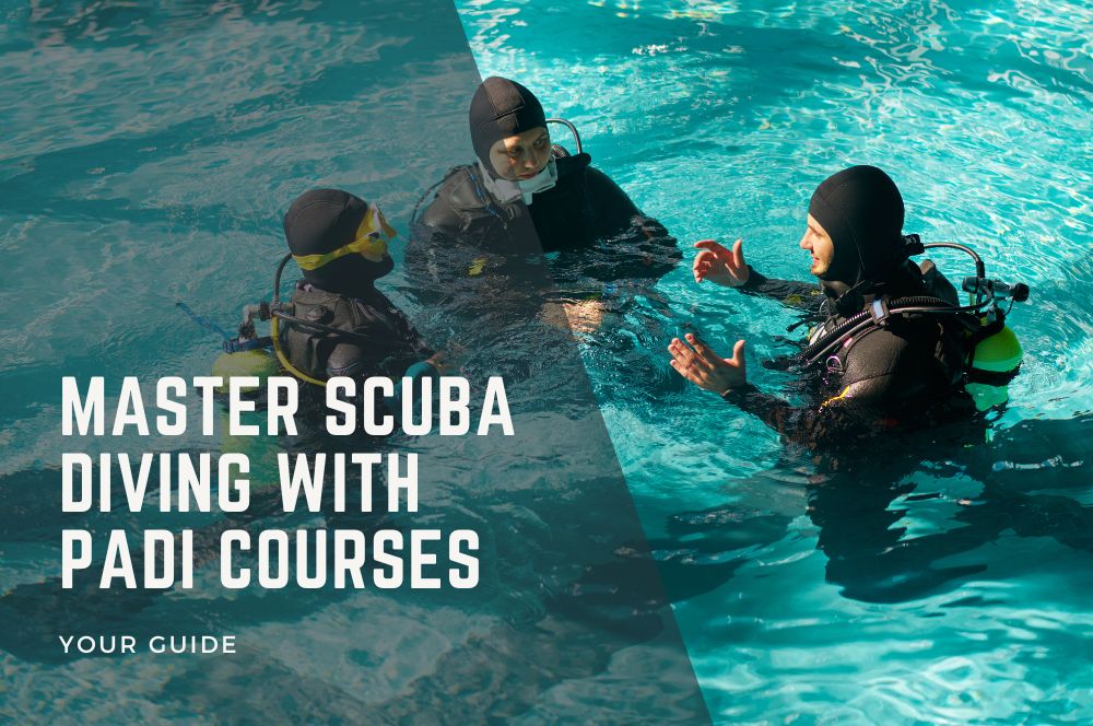 PADI-Courses.jpg