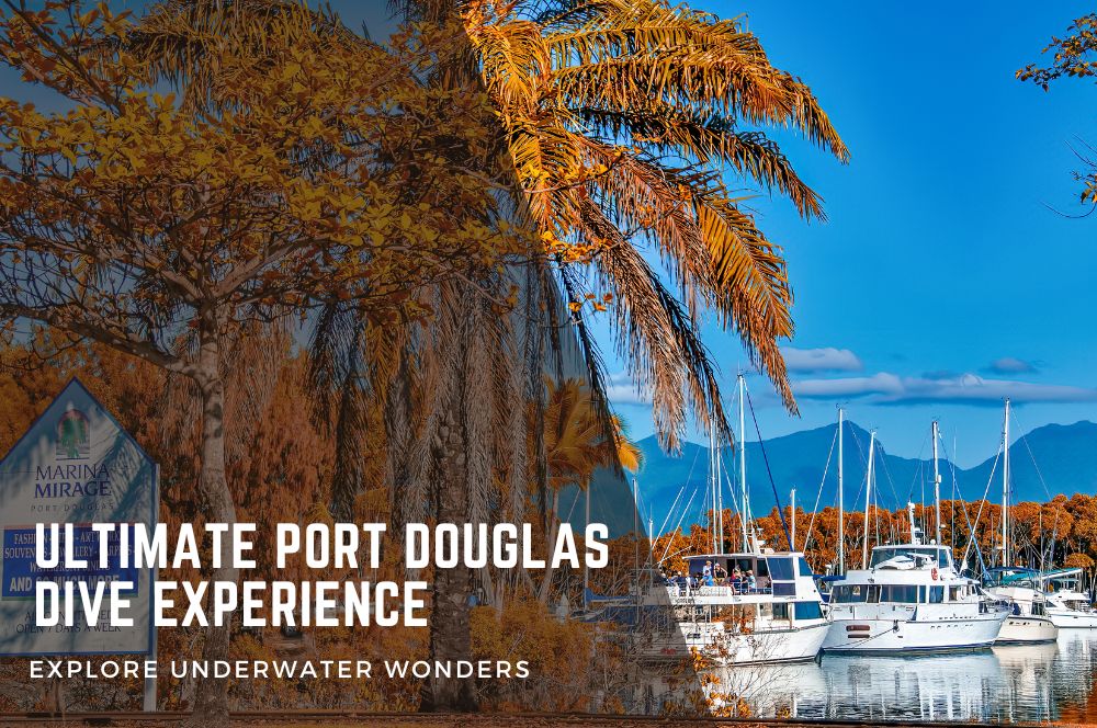 Discover The Hidden Wonders Of Port Douglas Dive Adventures
