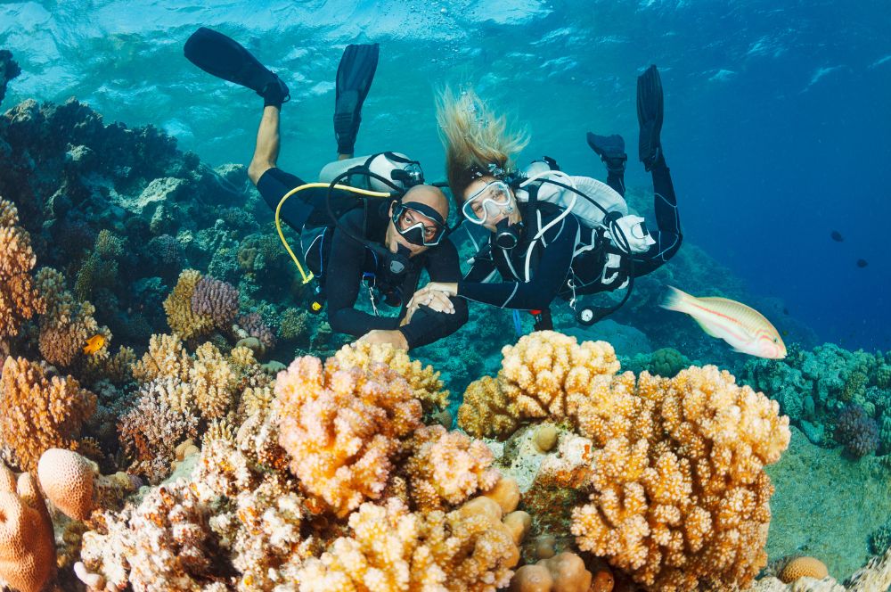 Scuba divers exploring a vibrant coral reef