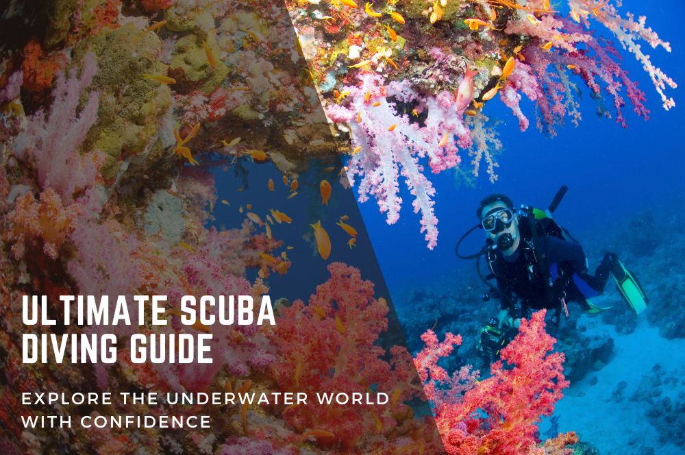 Ultimate Scuba Diving Guide: Master…