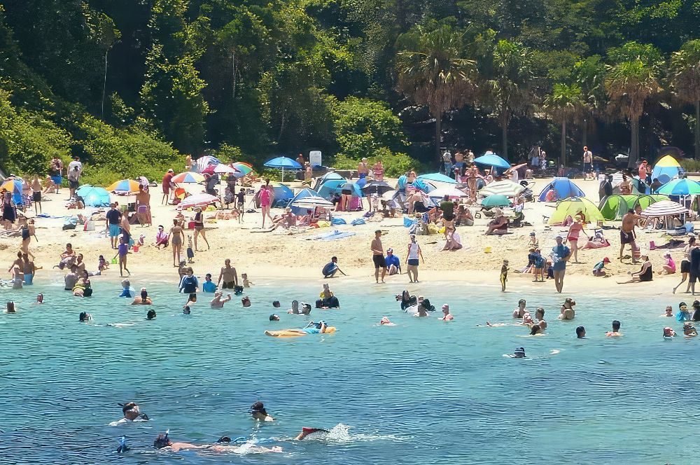 Families enjoying a summers day on Shelly Beach Manly