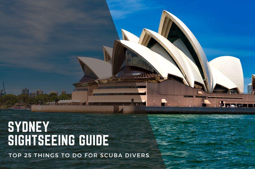 Sydney-Sightseeing-Guide.jpg