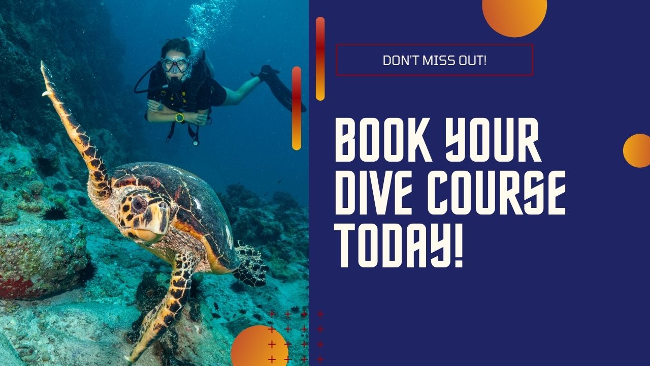 Book Your Dive Course Today!