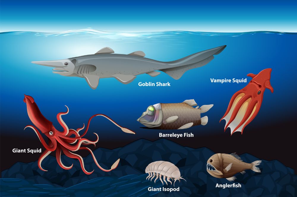 Illustration of deep sea creatures in the twilight zone