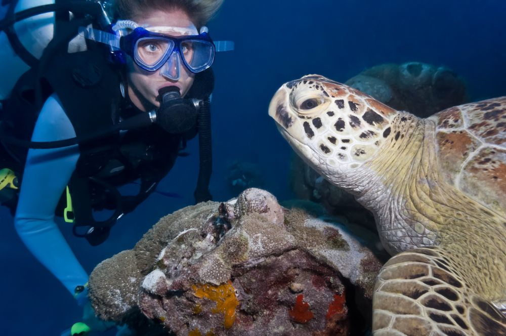 Diving during your PADI open water diver course