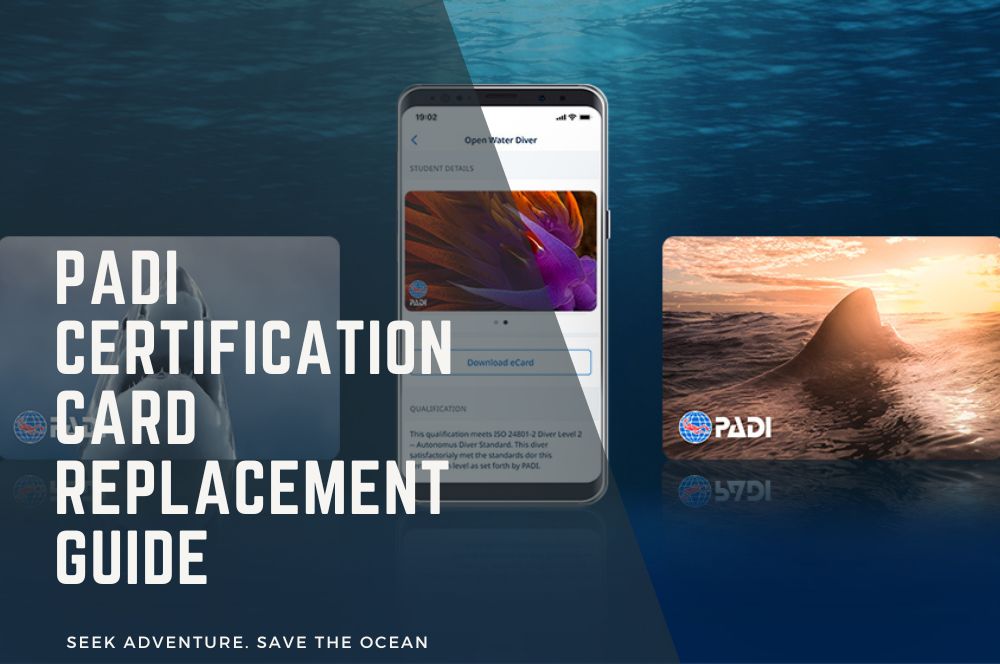 Padi Certification Card Replacement Guide | Easy Steps & Tips