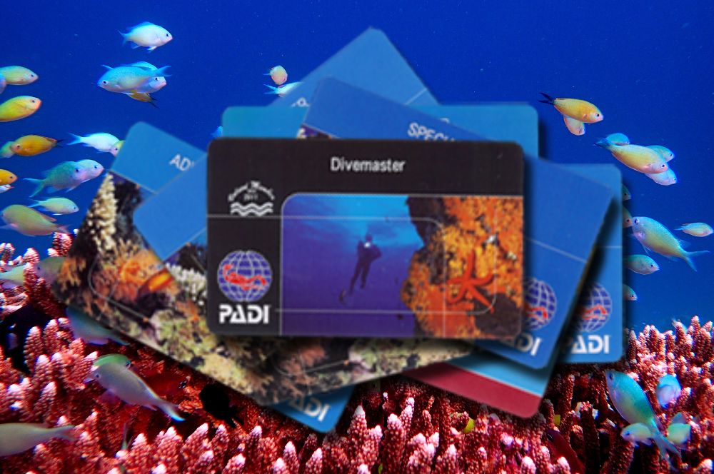 Large range of PADI certification card