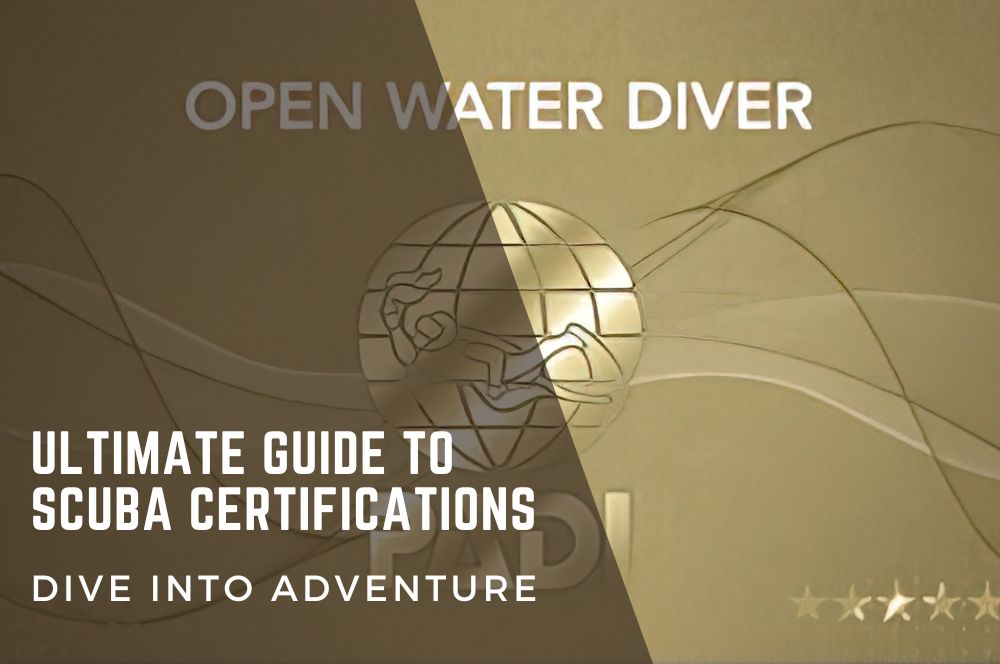 Scuba Certifications Guide: Become A Certified Diver Today | Dive Into Adventure