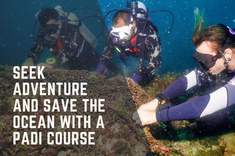 Seek Adventure And Save The Ocean With A Padi Course