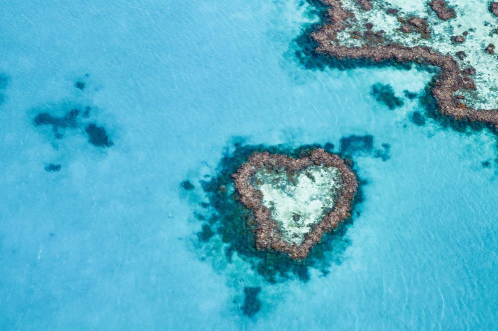  Famously photographed Heart Reef