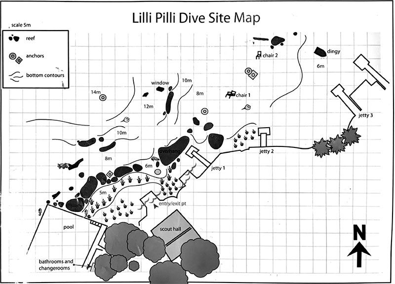 Lilli Pilli Dive Site